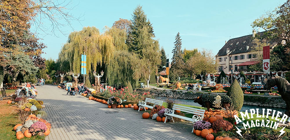 Europapark Rust - Offdays in der Region - Amplifier Magazin